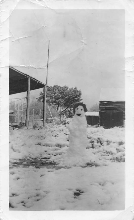 Ballarat snowman back yard 1949